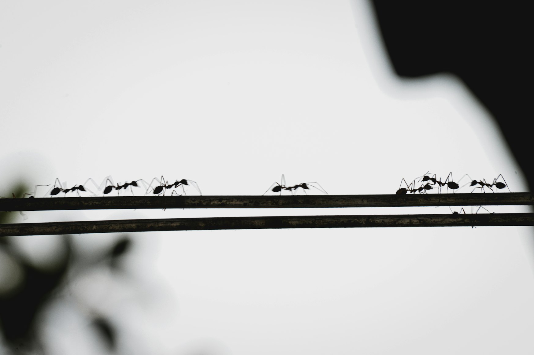 blog-images
